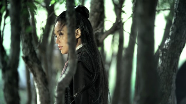 assassin-the---still-5